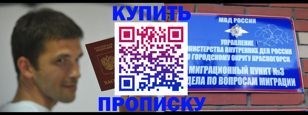 временная регистрация 2025 в Заинске